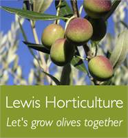 Lewis Horticulture - Let's Grow Olives Together Malcolm Lewis